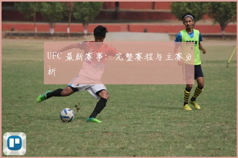 UFC 最新赛事:完整赛程与主赛分析